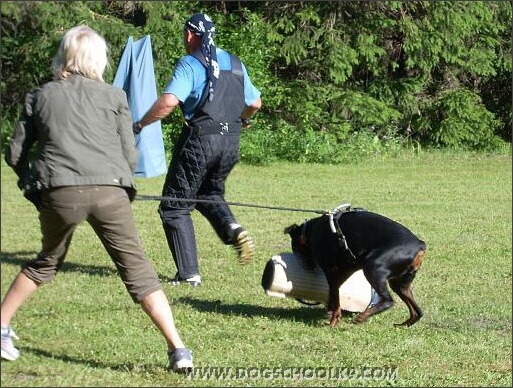 Summer training camp in Estonia 2007